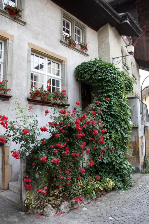 The Old Town Flat Appartement *